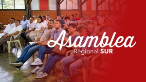 Asamblea Regional Sur